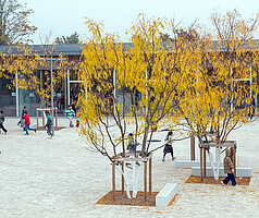 Freianlagen Grundschule Bad Mergentheim